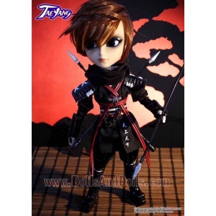 Arashi (Ninja-Serie) Taeyang T-210
